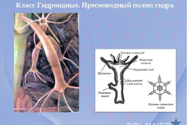 Ссылка в магазин на кракен