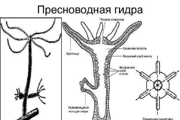 Кракен без тор